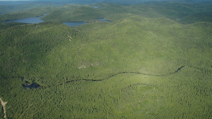 The Innu of Essipit unveil a huge project ;protected area