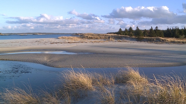 Carters Beach will become a provincial park