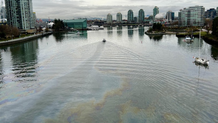 Coast Guard investigating you on an oily slick in the waters of False Creek