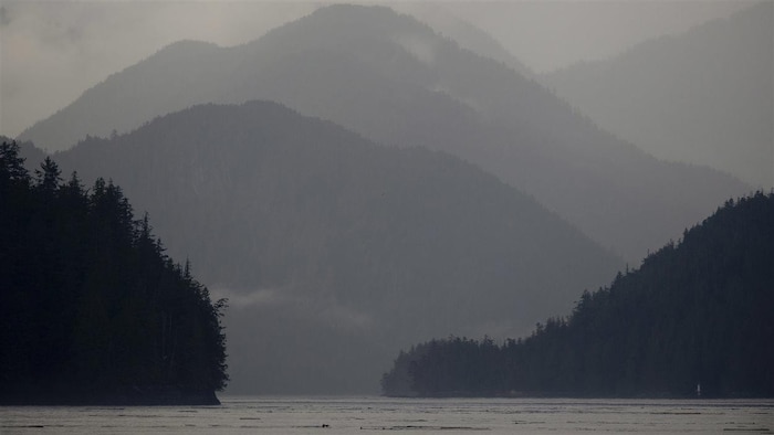 BC . invests in the development and conservation of the Great Bear Sea