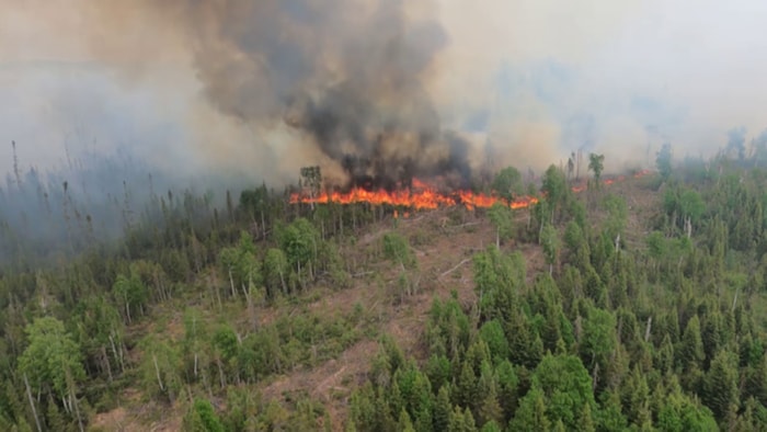 Six months after historic forest fires, municipalities still shaken | Forest fires 2023