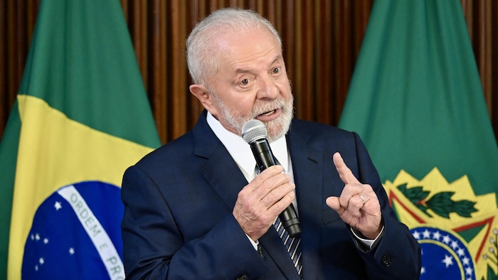 Lula vetoes parts of a pesticide law