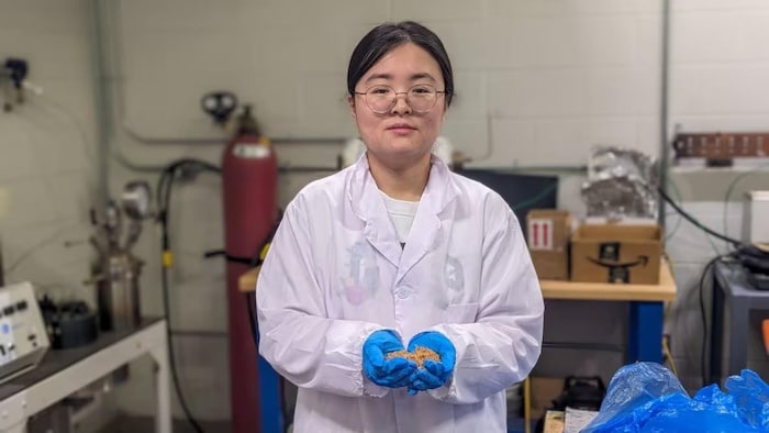 UPEI scientists produce hydrogen from leftover potatoes