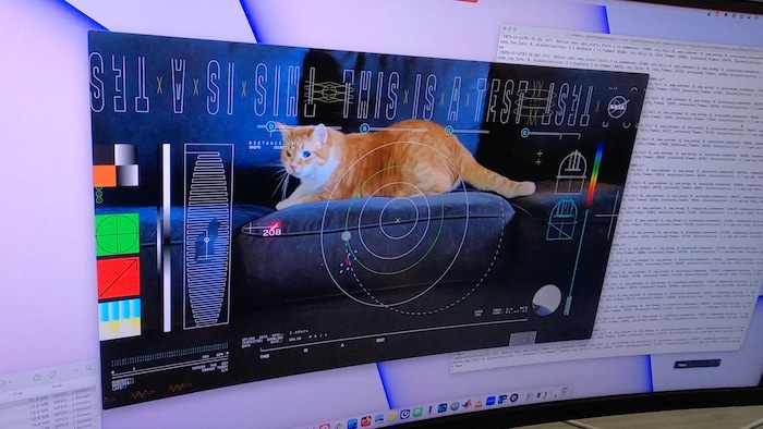 Cat then! NASA transmits by laser a video of a feline from deep space