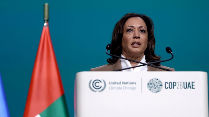 The United States announces $3 million for the most large climate fund | COP28: climate summit in Dubai