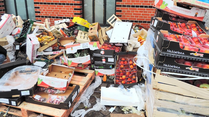 Food waste, a blind spot in global warming | COP28: climate summit in Geneva  Dubaï