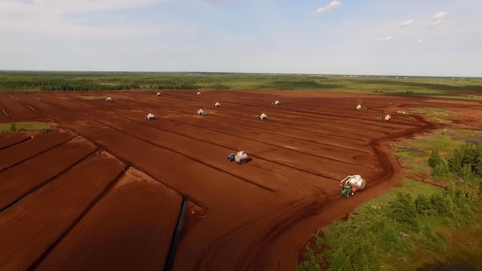 Peat industry threatened by decline climate regulation in the Acadian Peninsula