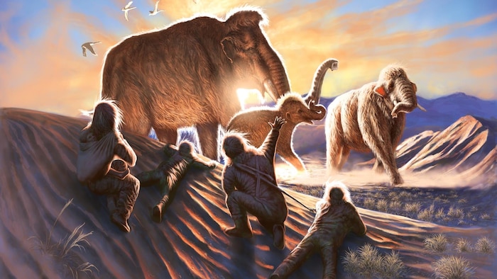 Humans would have lured to America by mammoths