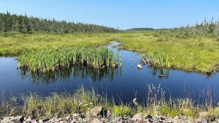 More land is protected near Thunder Bay