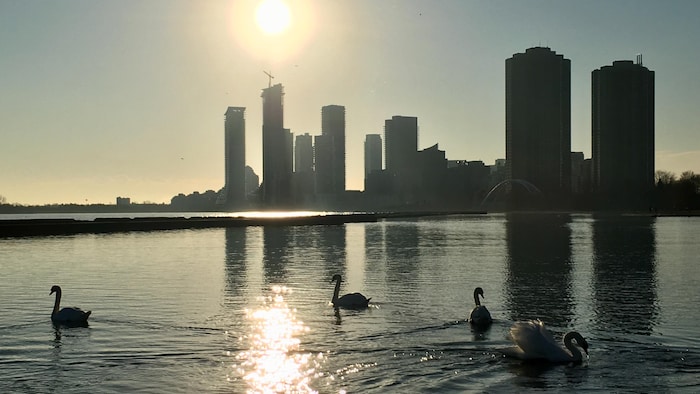 Toronto sets heat record for February 9