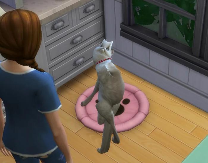 The Sims 4: Electronics Arts takes action to save the game