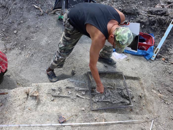 Vampire children: workers accidentally discover this supernatural tomb