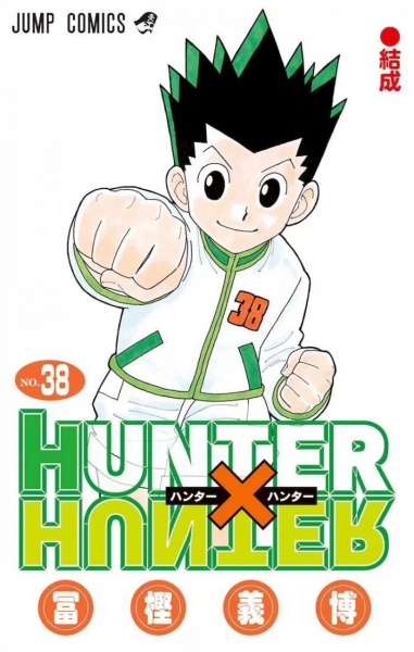 Hunter x Hunter: Excellent news for the continuation of the manga