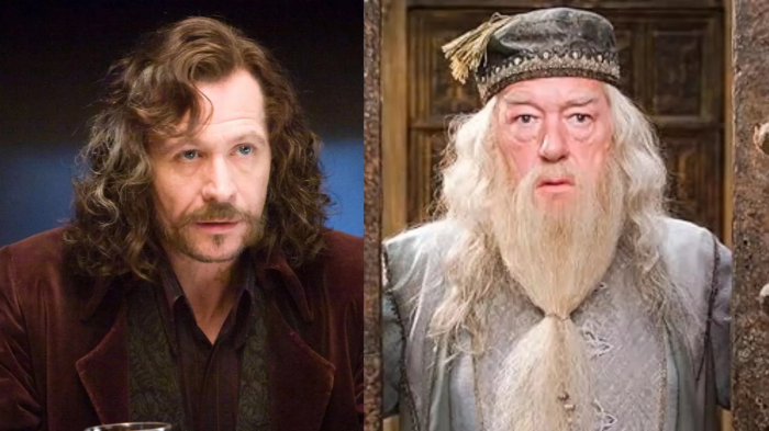 Harry Potter: this actor from the films ready to return to the series to play Dumbledore