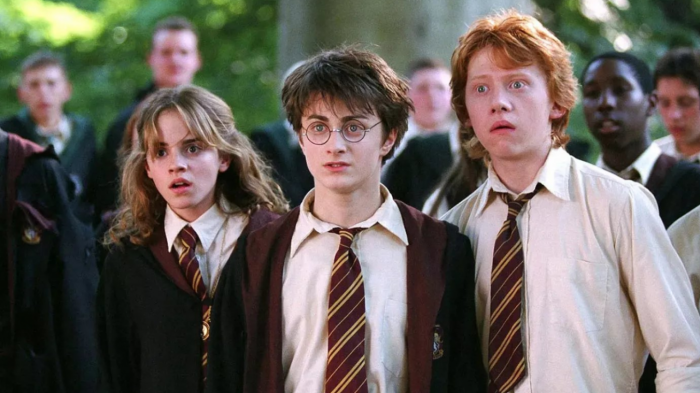 Harry Potter: HBO CEO has bad news for fans waiting for the series