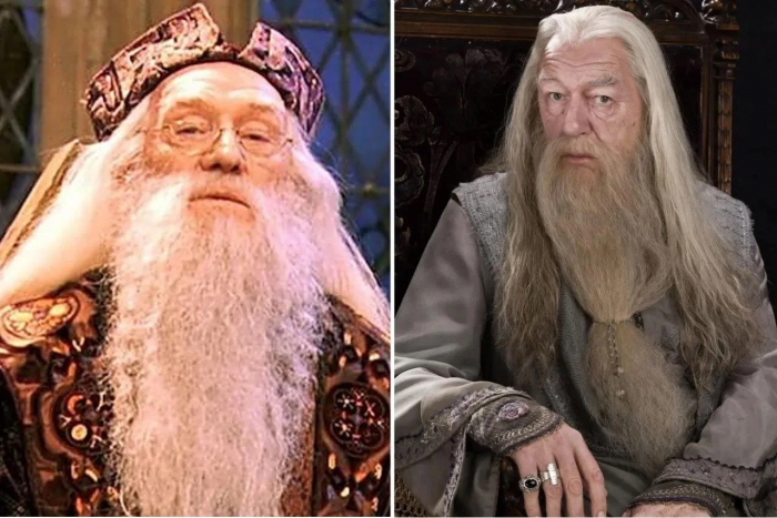 Harry Potter: fans were waiting for this actor as Dumbledore, he dashed their hopes