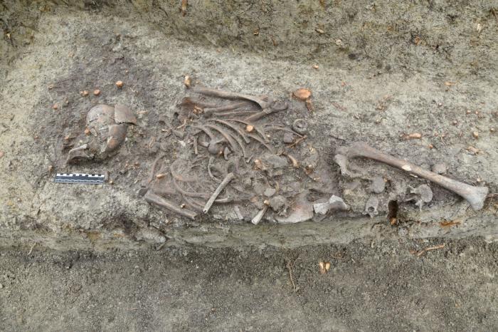 Vampire children: workers discover this supernatural tomb by chance