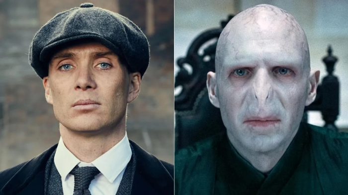 Harry Potter: fans want this actor to play Voldemort in the HBO series