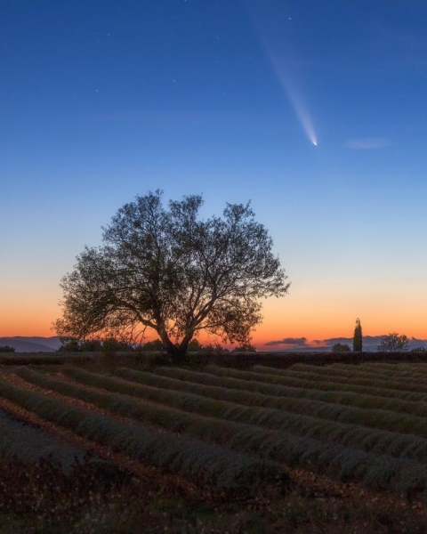 Comet Tsuchinshan-Atlas: discover the 14 most beautiful photos of the comet of the century