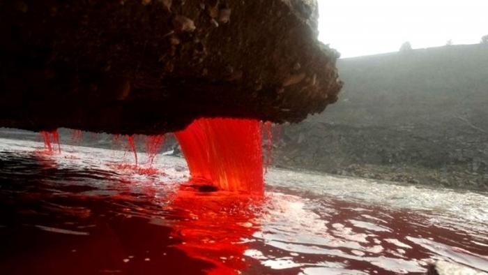 The mystery of the blood waterfalls in Antarctica finally solved by researchers