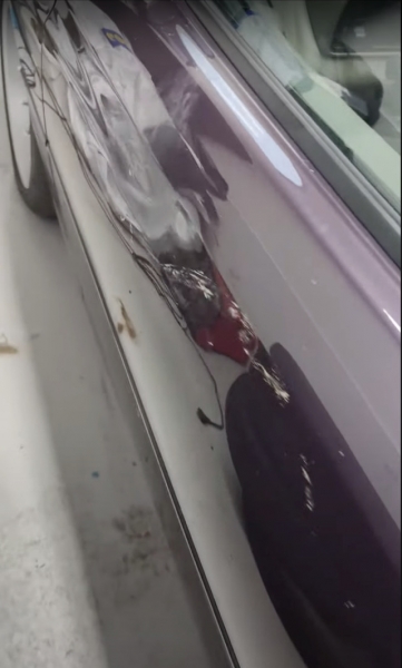 A moose crashed into a BMW showroom and crushed a classic car that was being restored