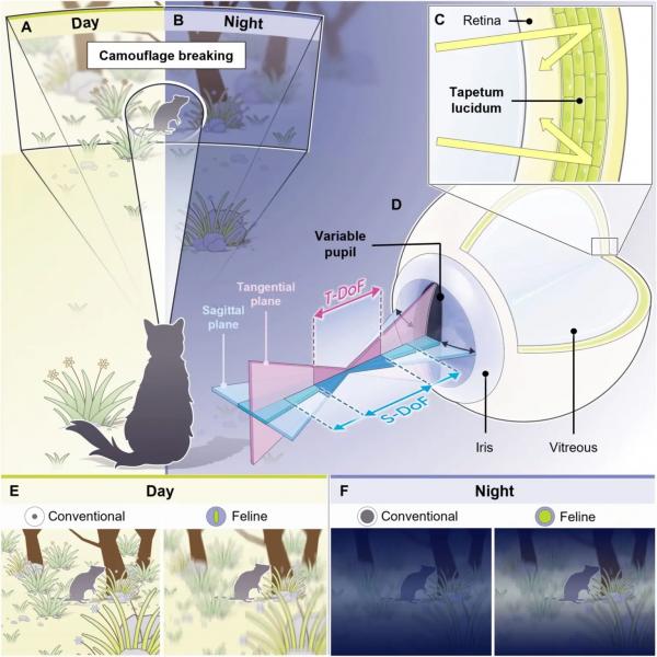  Scientists have created a unique AI recognition system for combat drones and robots