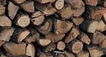 A man will be tried in the Kharkiv region for selling non-existent firewood and agricultural machinery