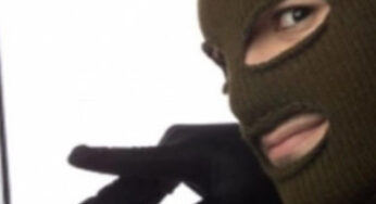 Internet fraudster sold non-existent firewood