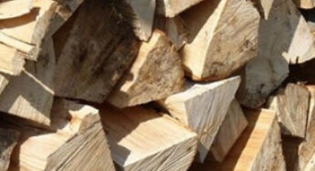Selling non-existent firewood: Kryvyi Rih police officers exposed a fraudster