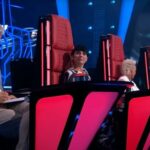 New coaches in “The Voice Senior” arouse mixed feelings. Is it a good decision by TVP?