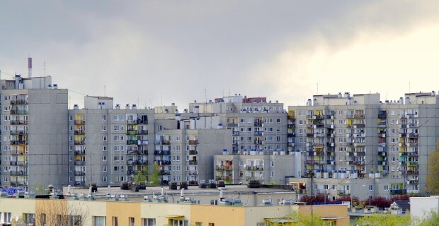 The nightmare of the residents of one of the blocks. Garbage, cockroaches, a nagging stench and fear for their lives