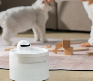 American startup presented a smart fountain for cats