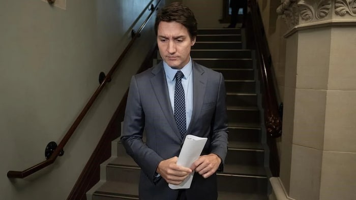 Conservatives make carbon tax a 'scapegoat,' says Trudeau