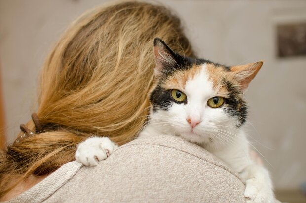 From real life. "Zofia is 40 and still lives with her parents": When they told her to seek her own happiness, she brought home a cat